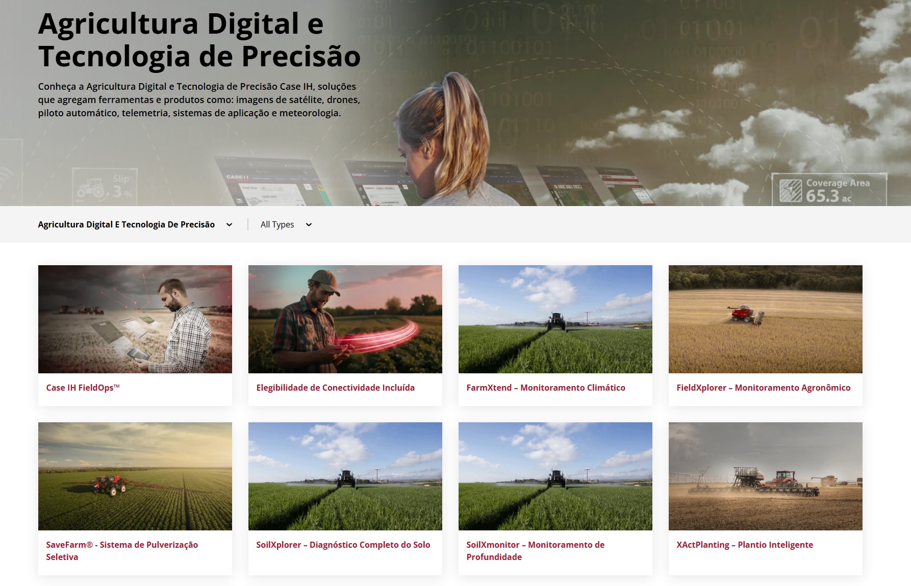 Snapshot of CNH's Website